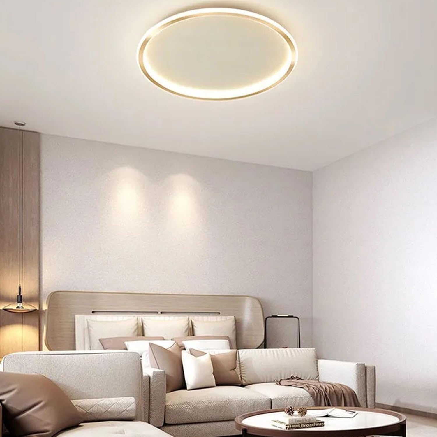 Nordic disc-style LED ceiling light